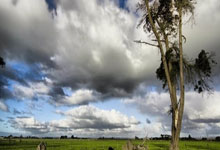 球盟会：35岁的苏亚倒钩破门！成世预赛南美区历史最佳射手.