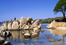 官方：47岁前队长巴里-弗格森担任流浪者新帅，直至赛季结束.